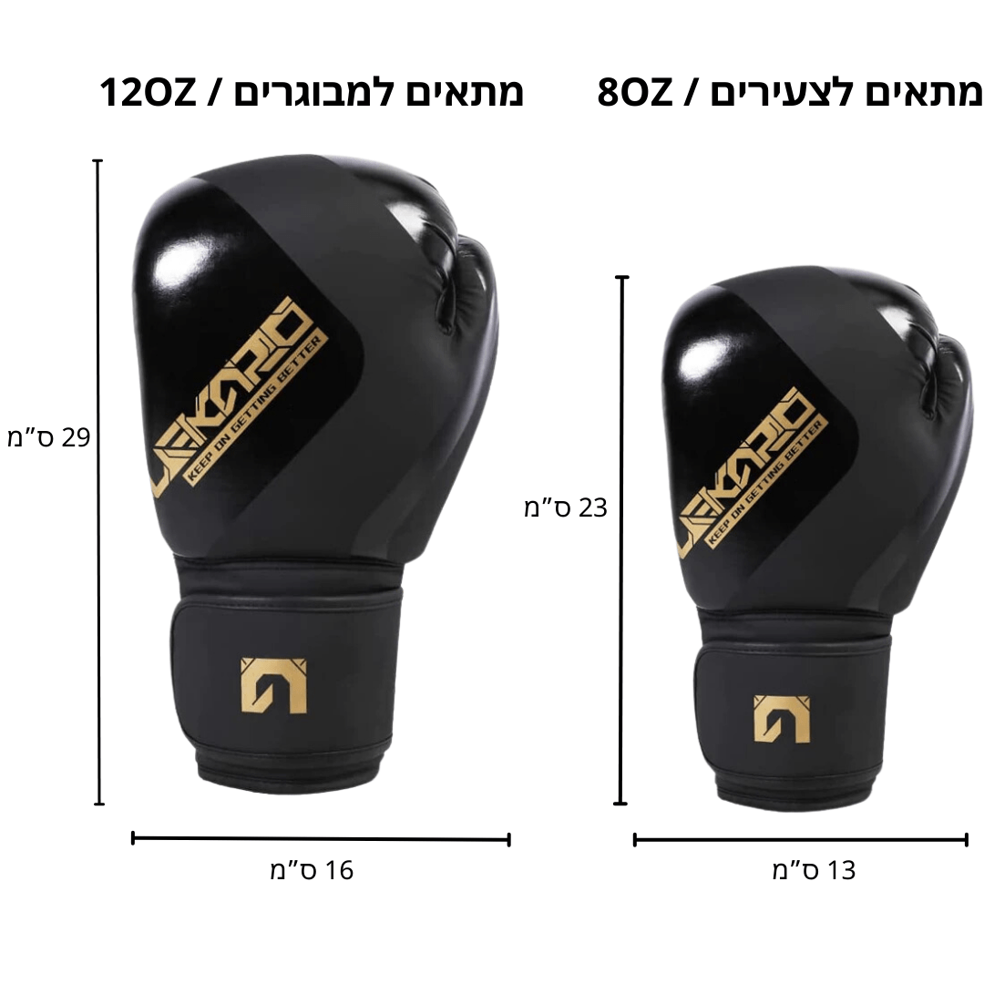 כפפות אגרוף - Boxing Pro+